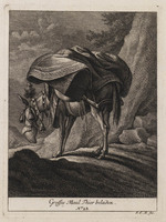 KG 01079
          <br/>
          Entwurf einiger Maulthiere und Esel. Siebender Theil. (18 bladen)
          <br/>
          <em>Ridinger, Johann Elias (1698-1767)</em>